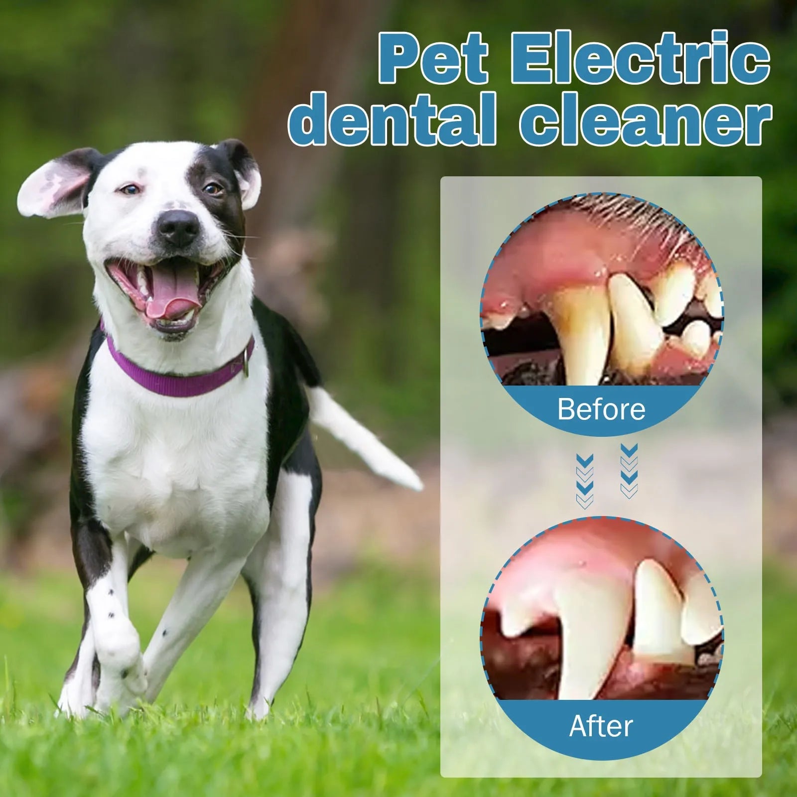 Dog Electric Toothbrush Set