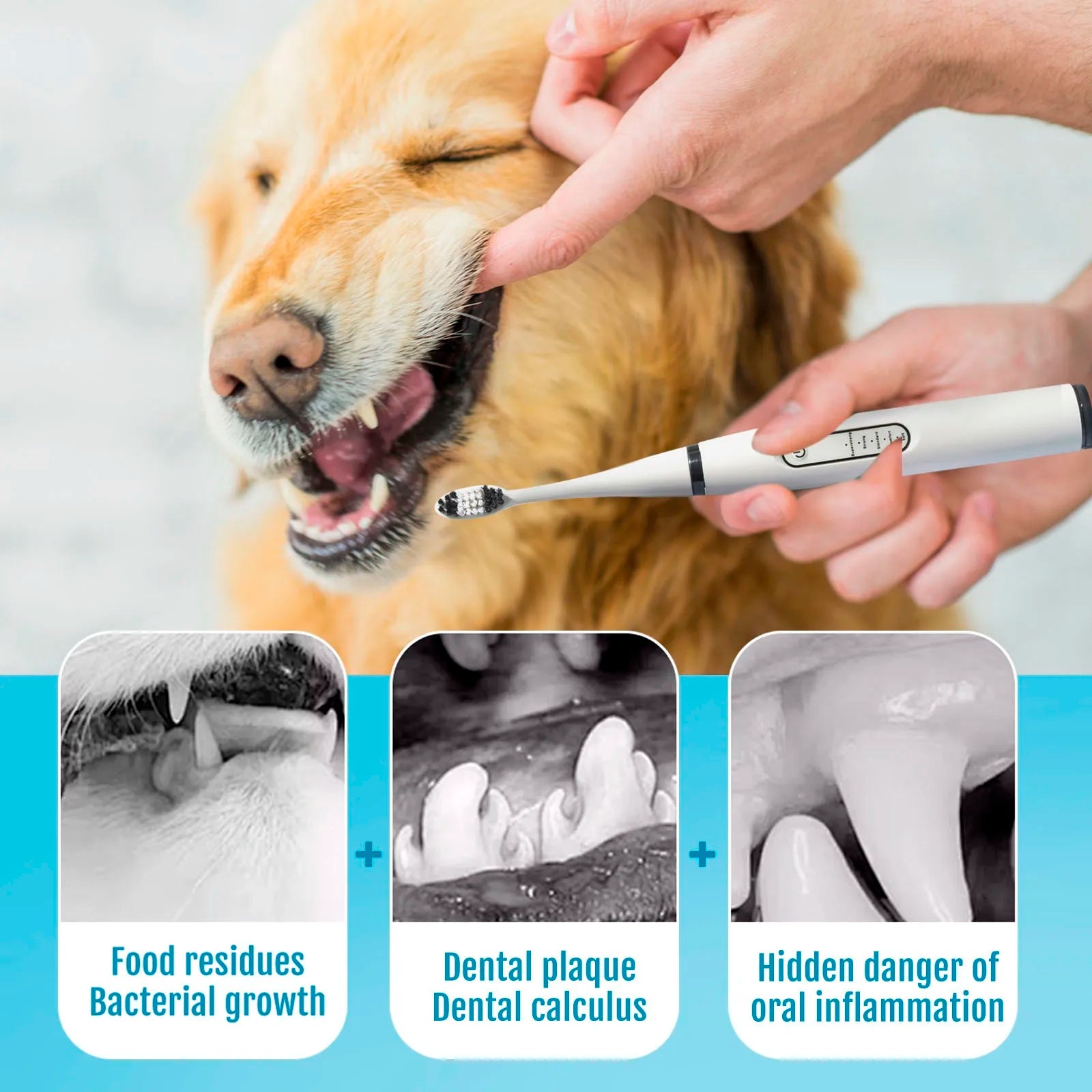Dog Electric Toothbrush Set