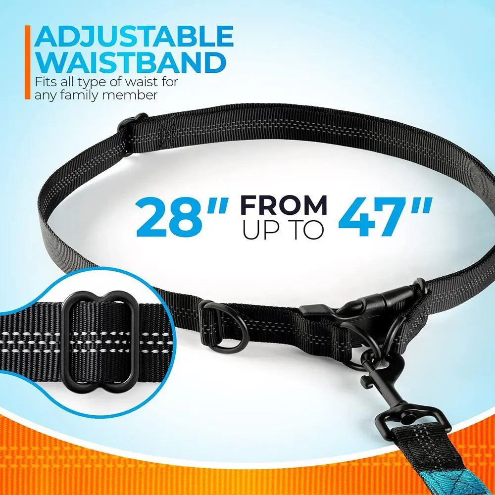 Multi-Functional Waist Leash