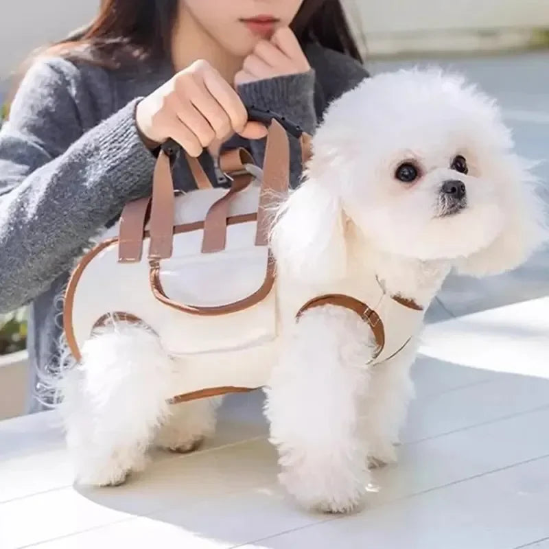 PetAura - Hands-Free Pet Carrier