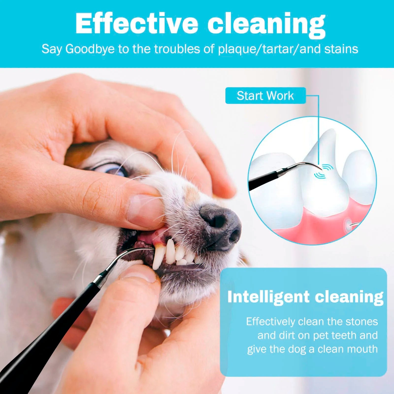 Dog Electric Toothbrush Set