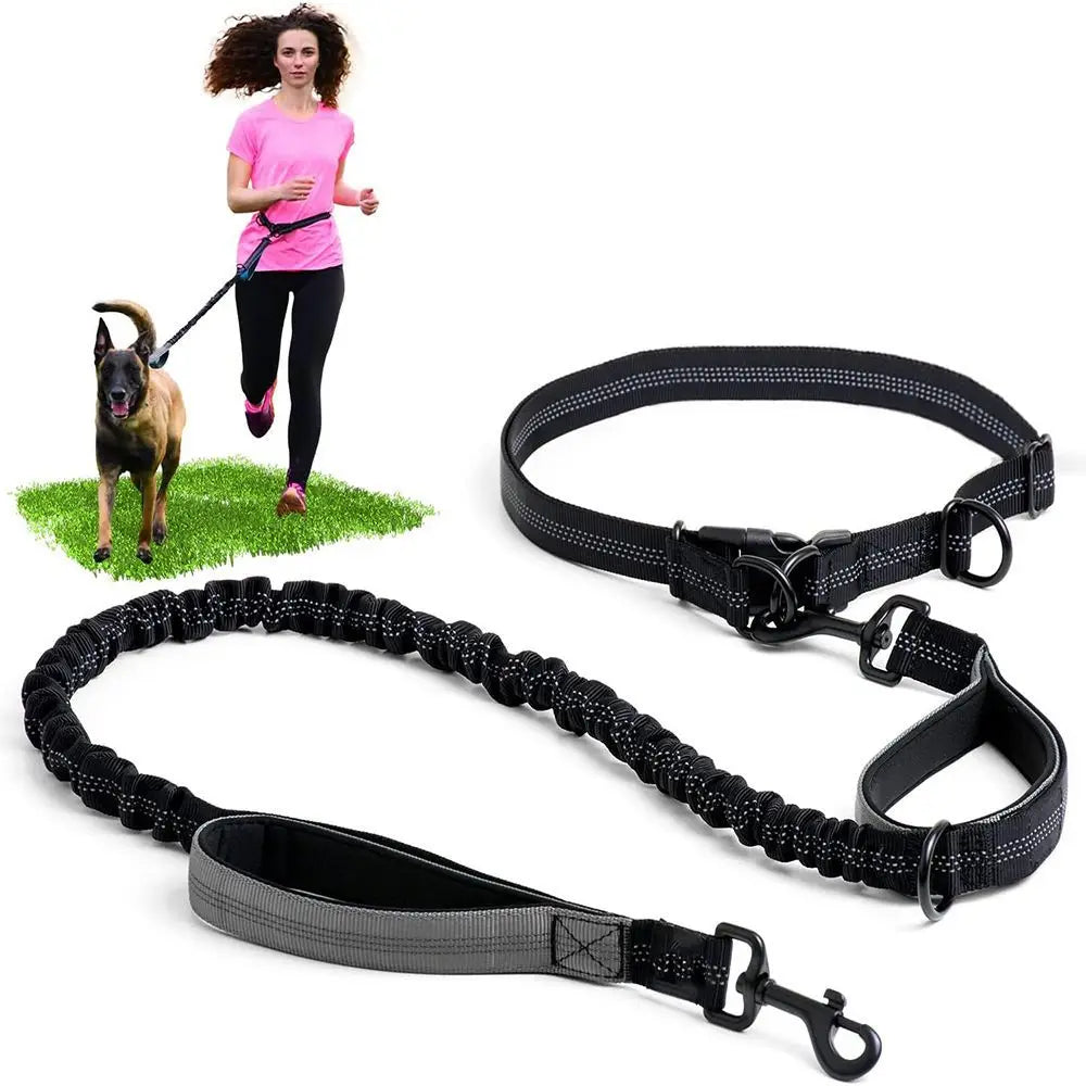 Multi-Functional Waist Leash