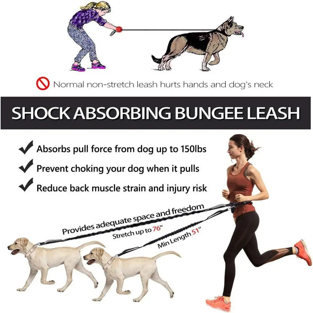 Multi-Functional Waist Leash