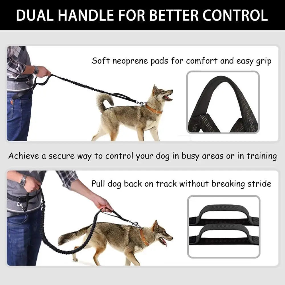 Multi-Functional Waist Leash