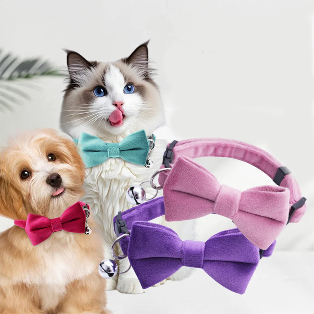 Velvet Bow Tie Pet Collar