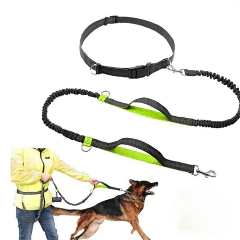 Multi-Functional Waist Leash