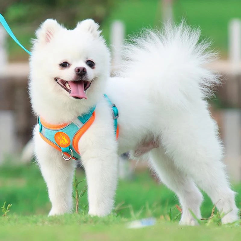 Reflective Dog Harness