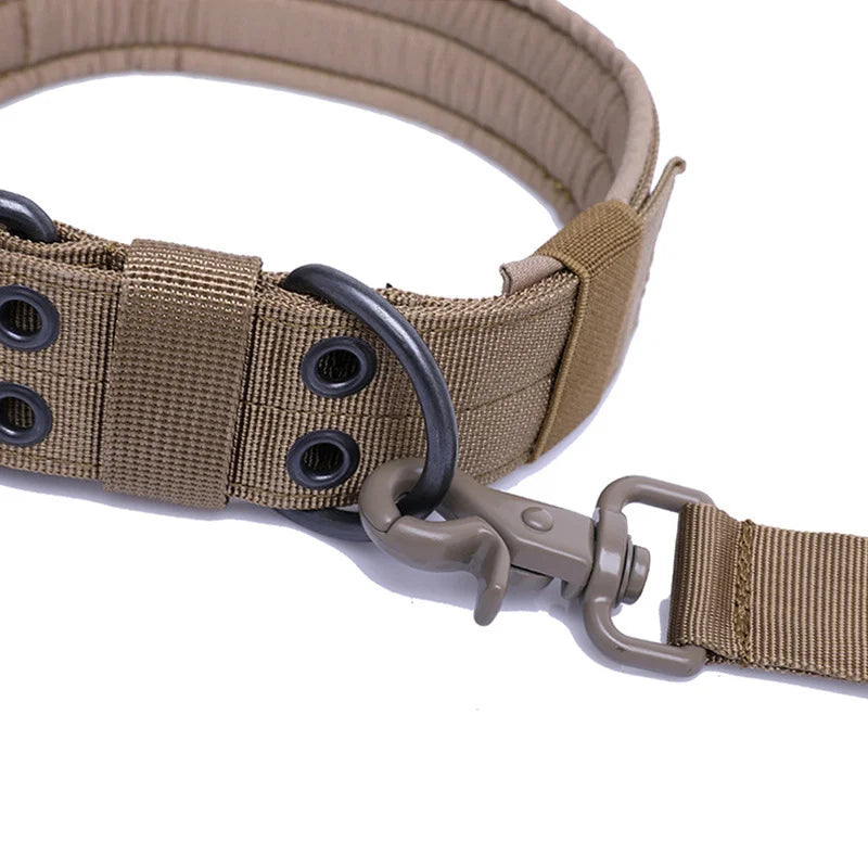 Heavy Duty Dog Collar