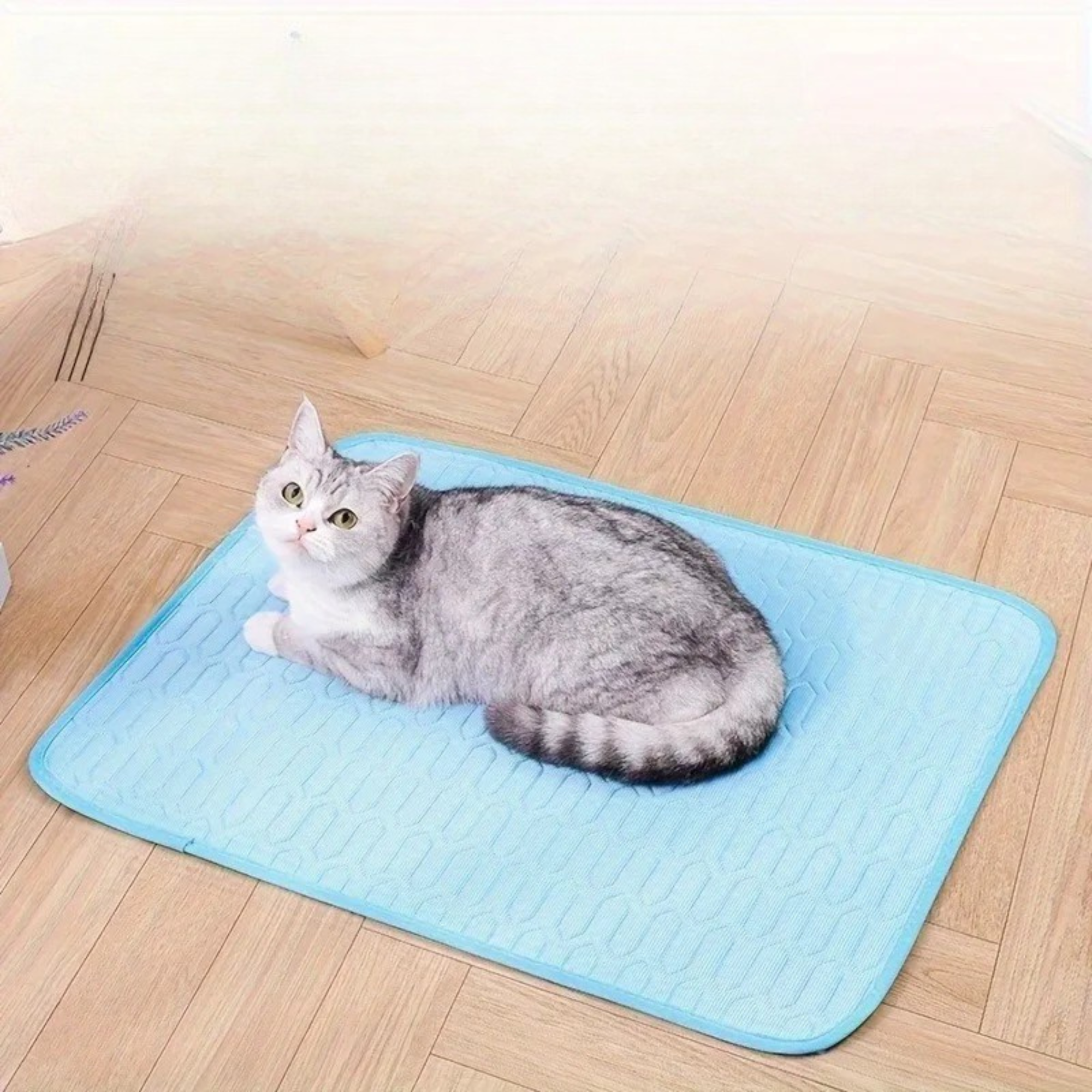CoolPet - Ice-Cool Pet Mat