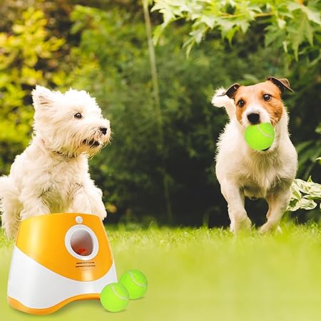 Automatic Dog Ball Launcher