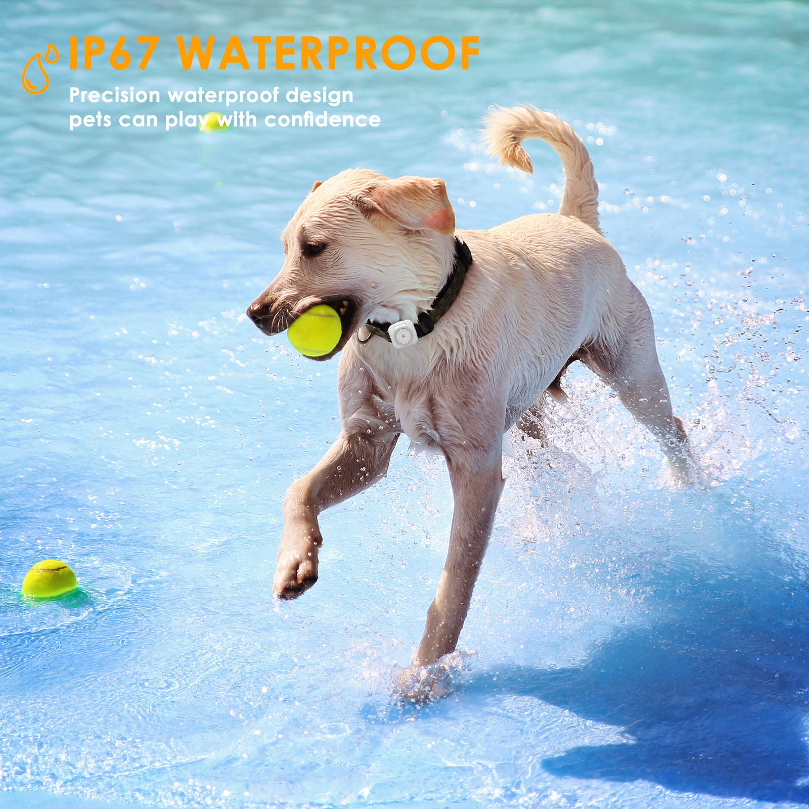 Pet GPS Health Tracker