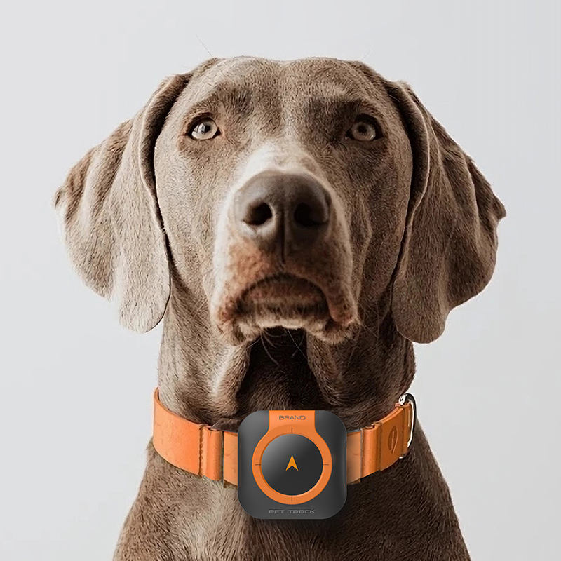 Pet GPS Health Tracker