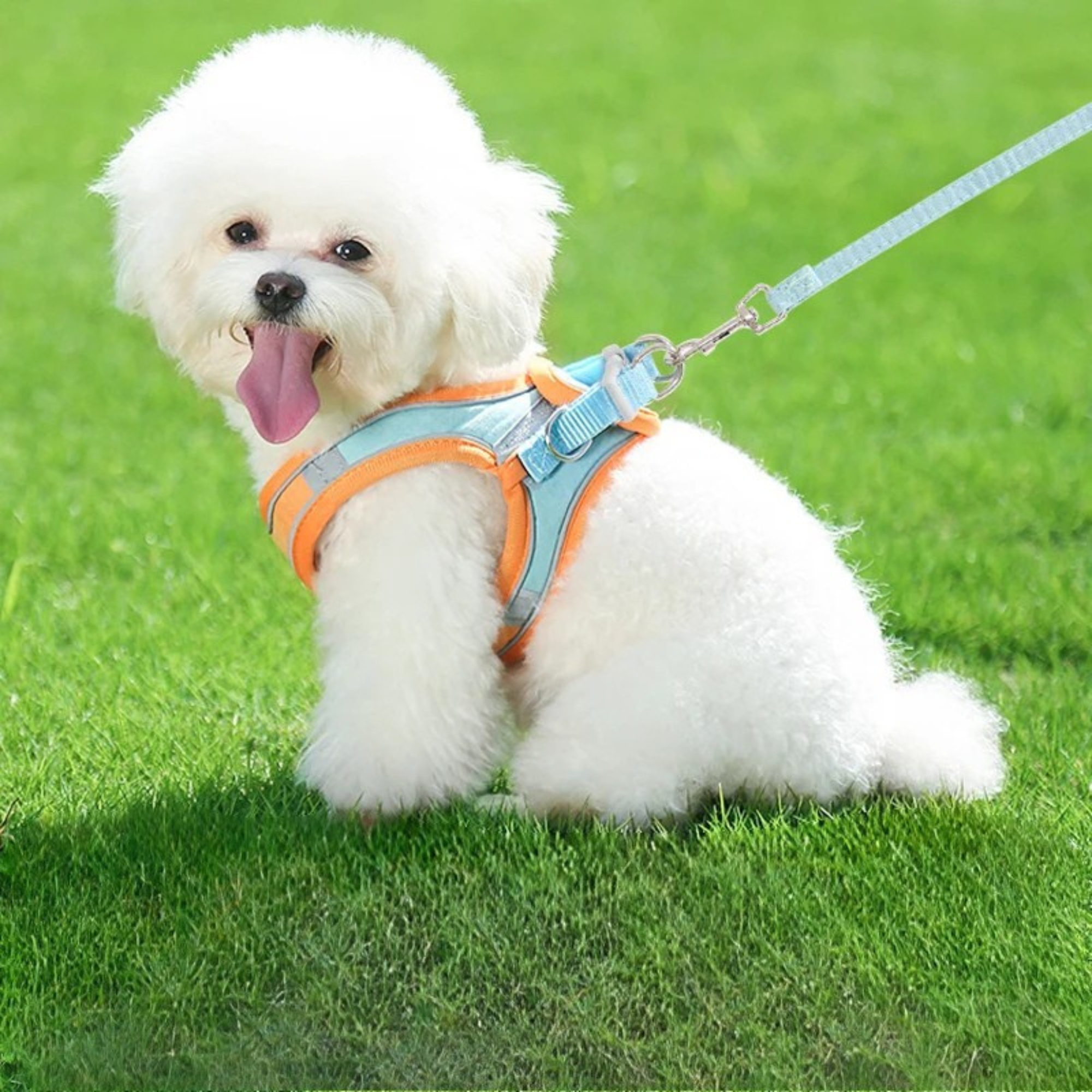 Reflective Dog Harness