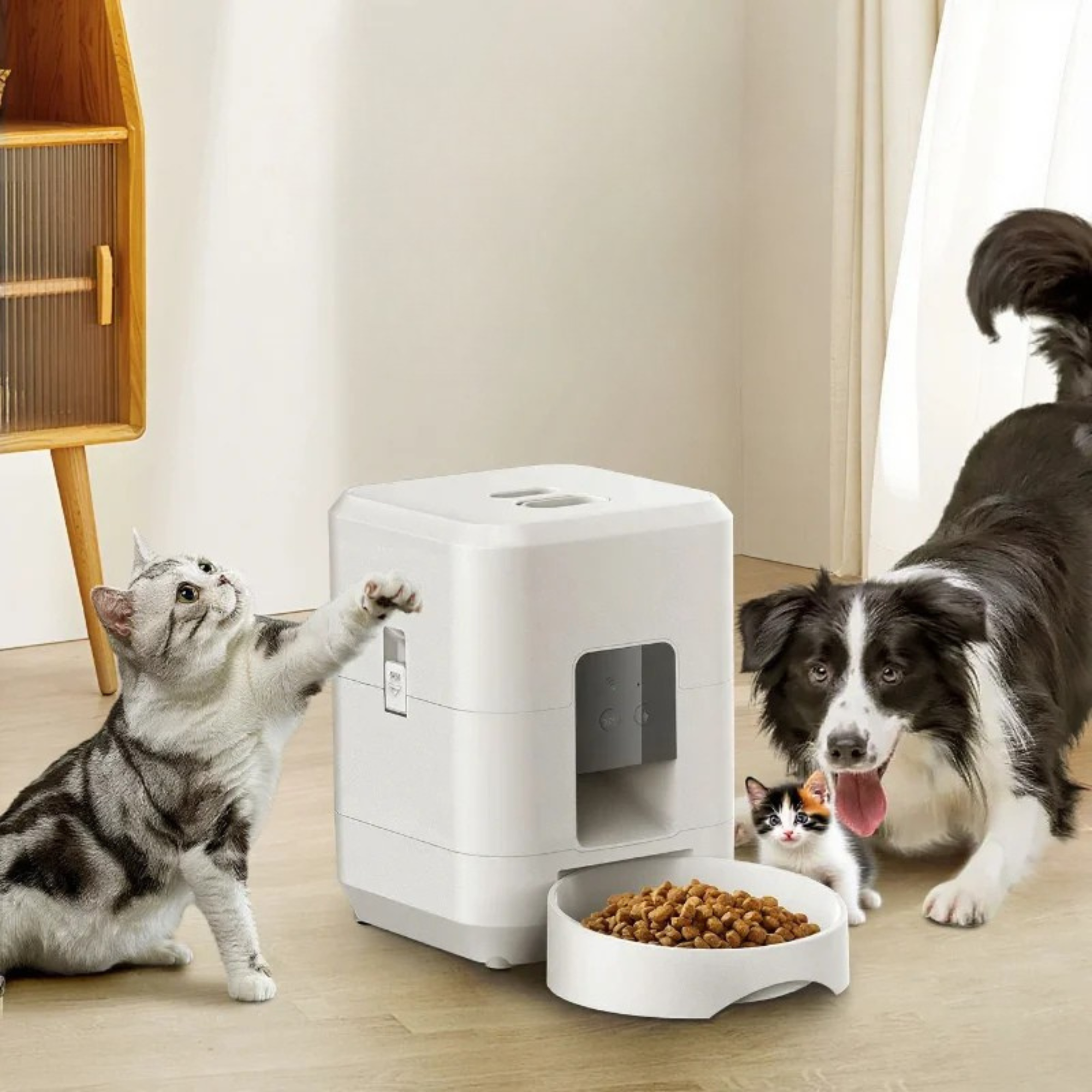 SmartPet - WiFi Pet Feeder