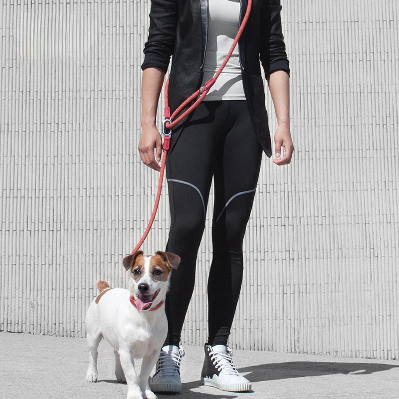 Reflective Dog Leash