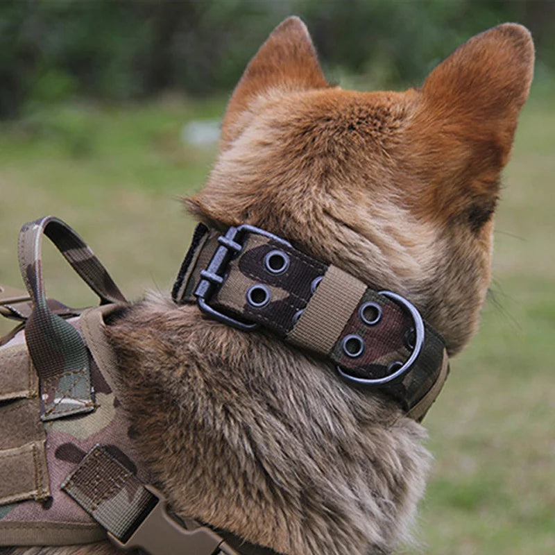 Heavy Duty Dog Collar
