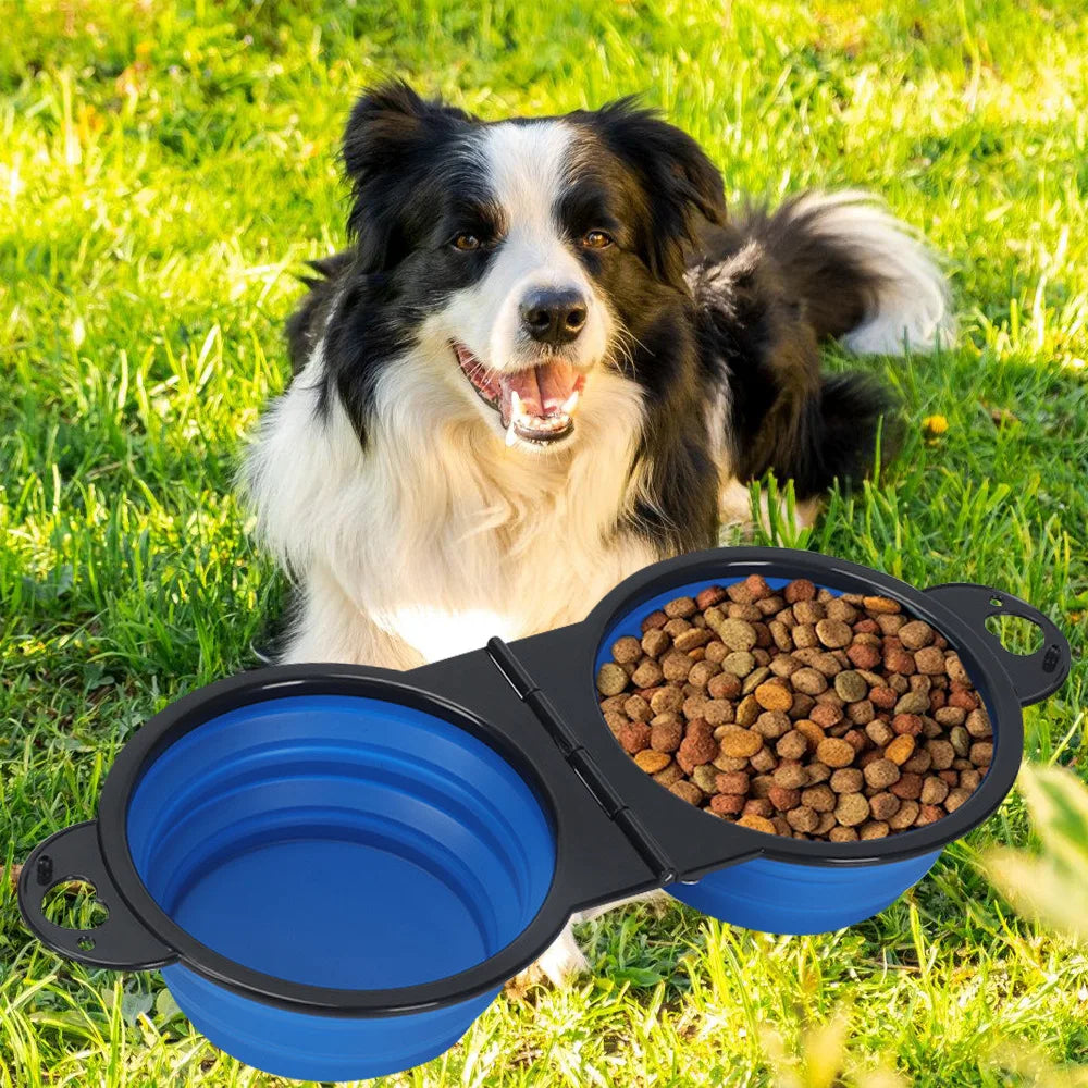 PetAble 2-in-1 Travel Bowl