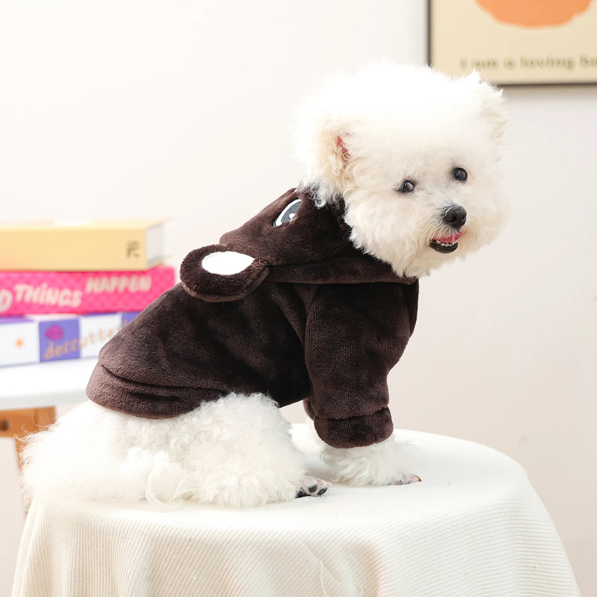 Bear Hoodie Dog Sweater