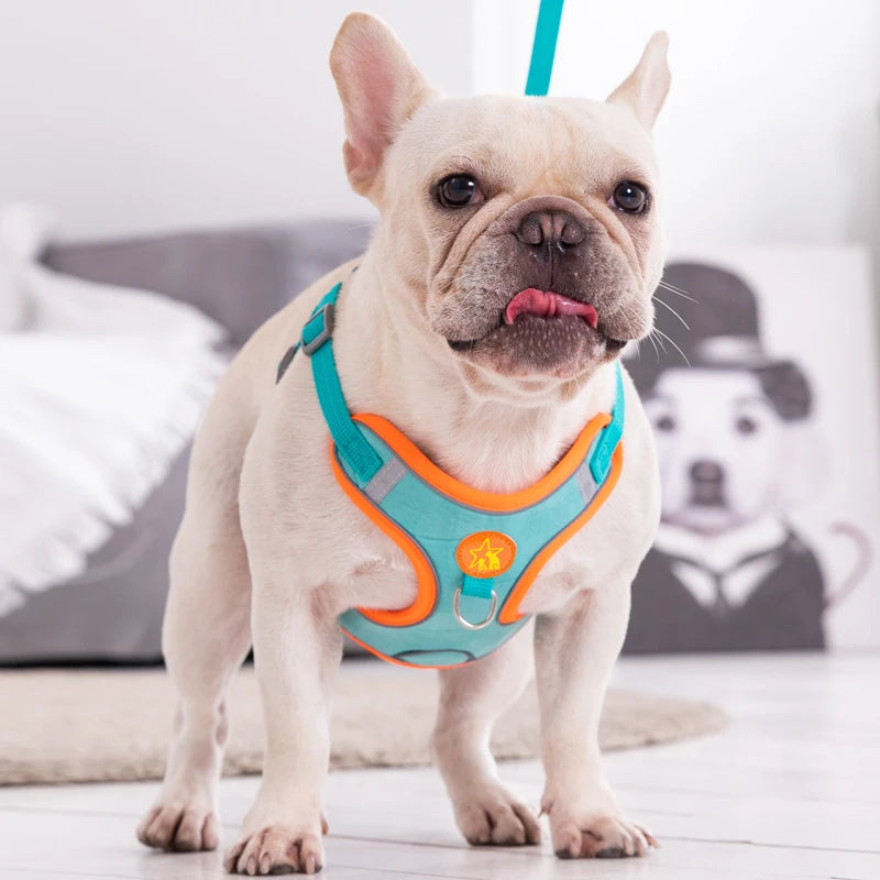 Reflective Dog Harness