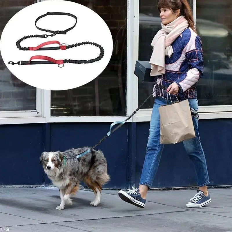 Multi-Functional Waist Leash